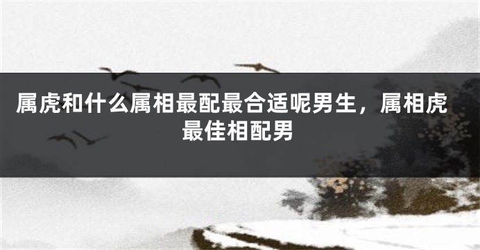 属虎和什么属相最配最合适呢男生，属相虎最佳相配男