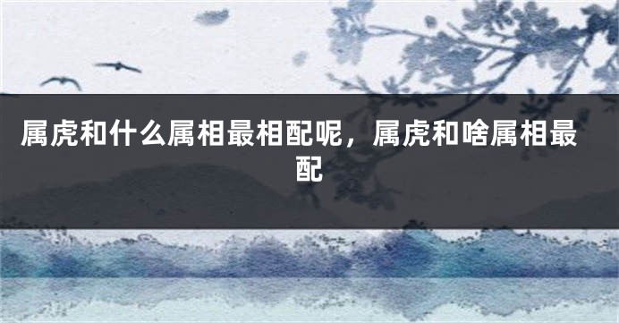 属虎和什么属相最相配呢，属虎和啥属相最配