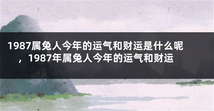 1987属兔人今年的运气和财运是什么呢，1987年属兔人今年的运气和财运