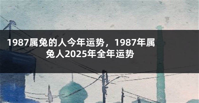 1987属兔的人今年运势，1987年属兔人2025年全年运势