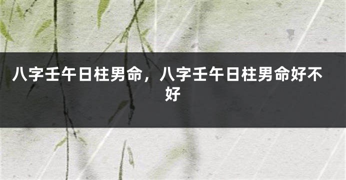 八字壬午日柱男命，八字壬午日柱男命好不好