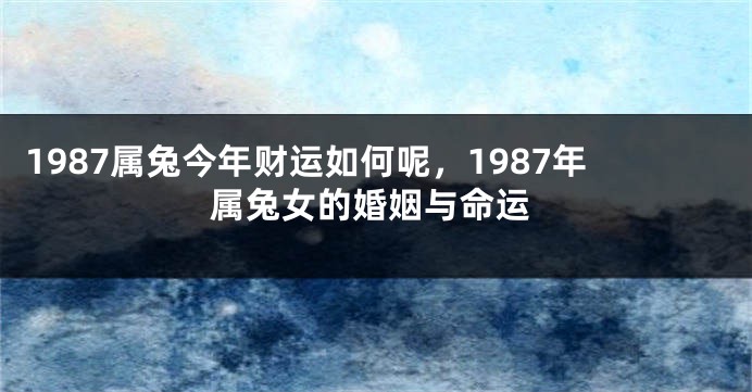 1987属兔今年财运如何呢，1987年属兔女的婚姻与命运