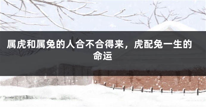 属虎和属兔的人合不合得来，虎配兔一生的命运