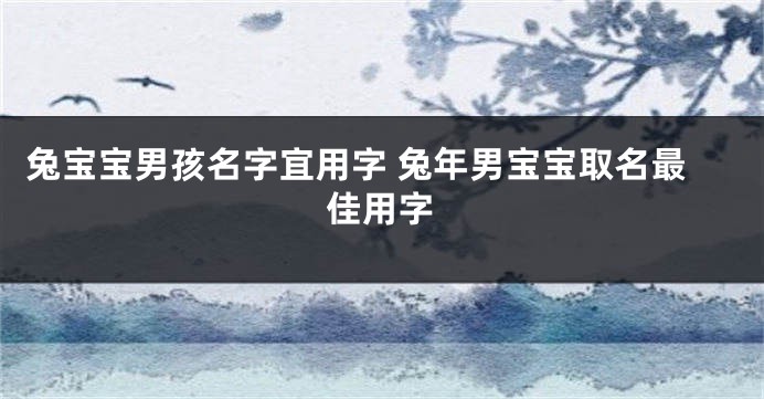 兔宝宝男孩名字宜用字 兔年男宝宝取名最佳用字