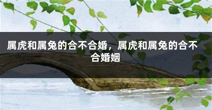 属虎和属兔的合不合婚,属虎和属兔的合不合婚姻
