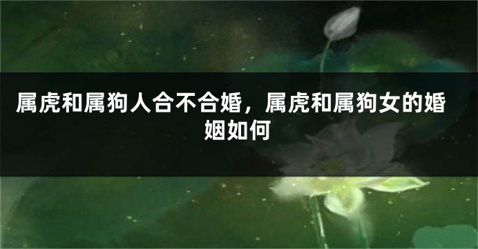 属虎和属狗人合不合婚，属虎和属狗女的婚姻如何