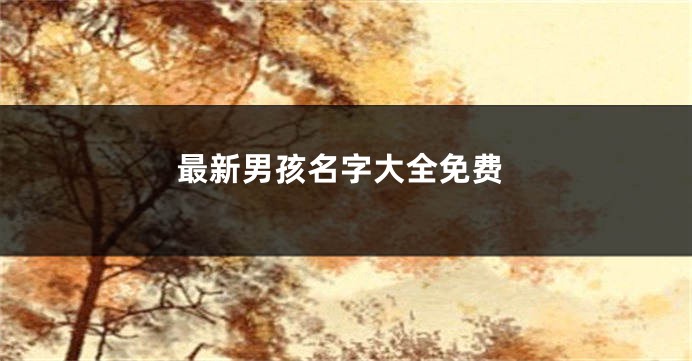 最新男孩名字大全免费