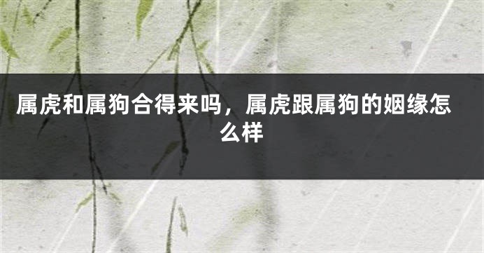 属虎和属狗合得来吗，属虎跟属狗的姻缘怎么样