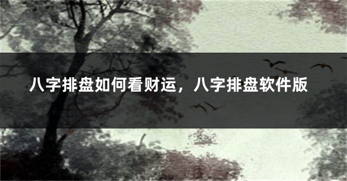 八字排盘如何看财运，八字排盘软件版