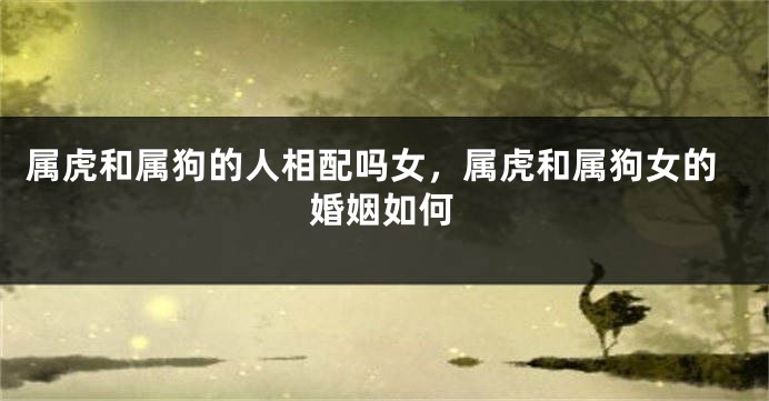 属虎和属狗的人相配吗女，属虎和属狗女的婚姻如何