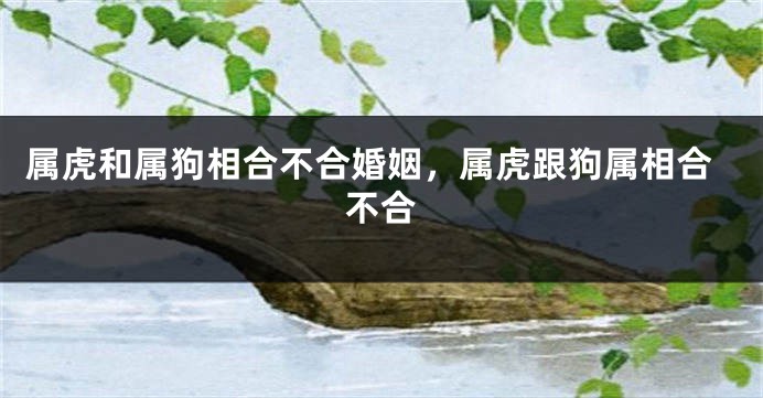属虎和属狗相合不合婚姻，属虎跟狗属相合不合