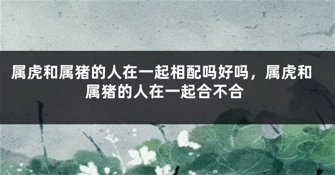 属虎和属猪的人在一起相配吗好吗，属虎和属猪的人在一起合不合