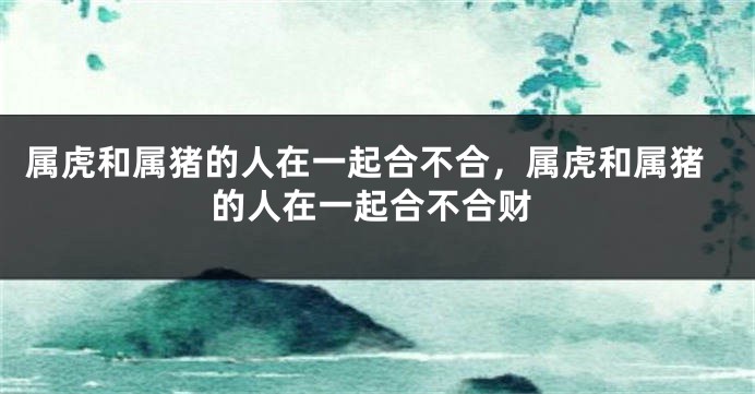 属虎和属猪的人在一起合不合，属虎和属猪的人在一起合不合财