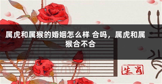 属虎和属猴的婚姻怎么样 合吗，属虎和属猴合不合