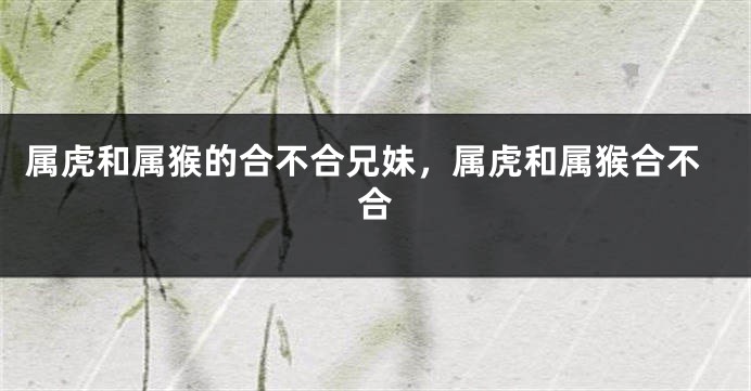 属虎和属猴的合不合兄妹，属虎和属猴合不合