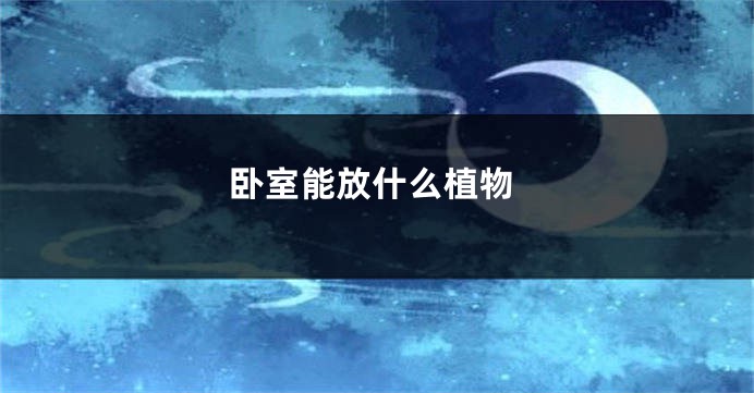 卧室能放什么植物