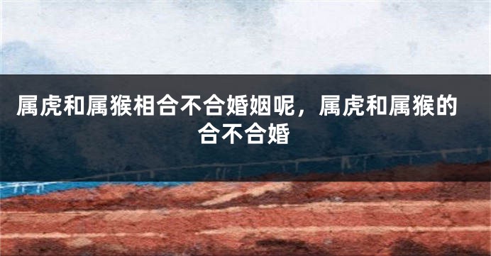 属虎和属猴相合不合婚姻呢,属虎和属猴的合不合婚