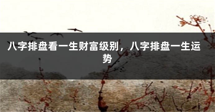 八字排盘看一生财富级别，八字排盘一生运势