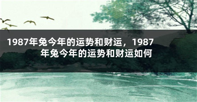 1987年兔今年的运势和财运，1987年兔今年的运势和财运如何