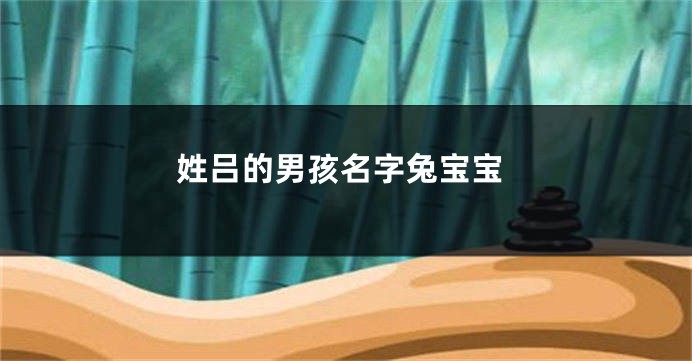 姓吕的男孩名字兔宝宝