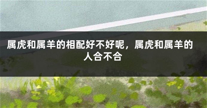 属虎和属羊的相配好不好呢，属虎和属羊的人合不合