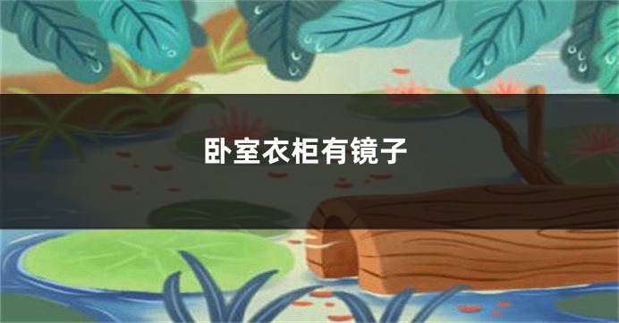 卧室衣柜有镜子
