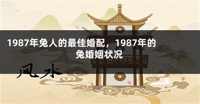 1987年兔人的最佳婚配，1987年的兔婚姻状况