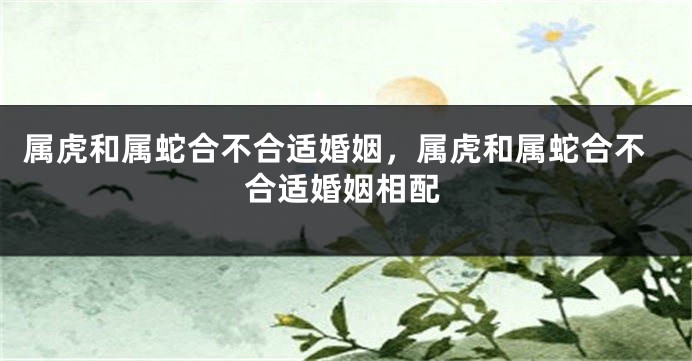 属虎和属蛇合不合适婚姻，属虎和属蛇合不合适婚姻相配