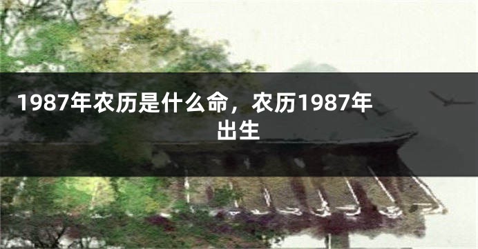 1987年农历是什么命，农历1987年出生