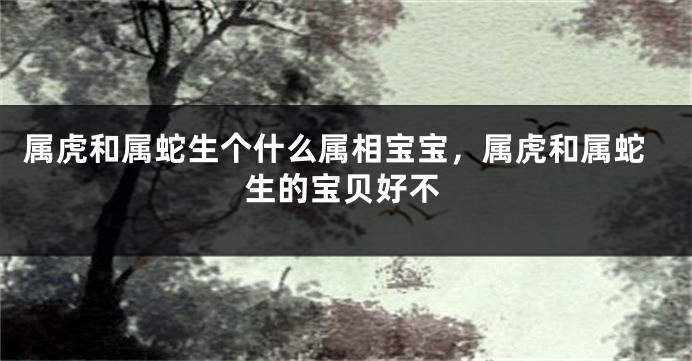 属虎和属蛇生个什么属相宝宝，属虎和属蛇生的宝贝好不