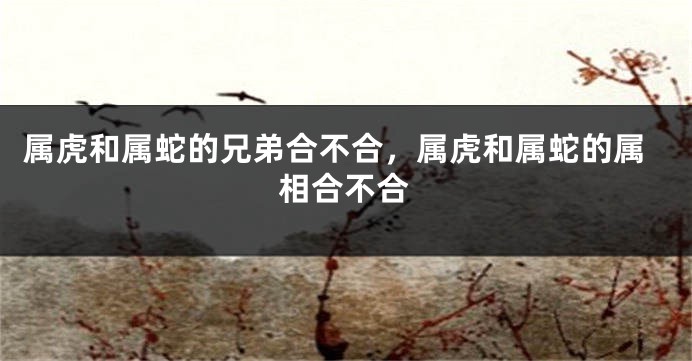 属虎和属蛇的兄弟合不合，属虎和属蛇的属相合不合