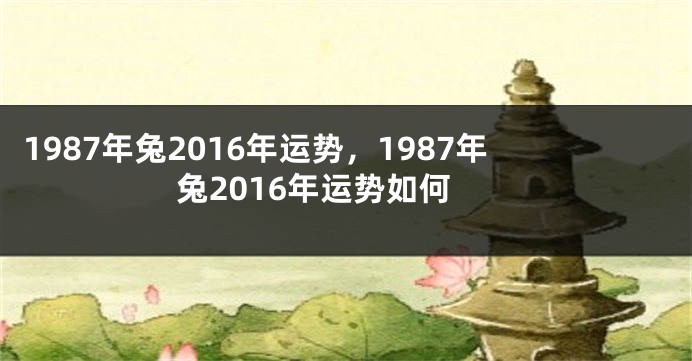 1987年兔2016年运势,1987年兔2016年运势如何