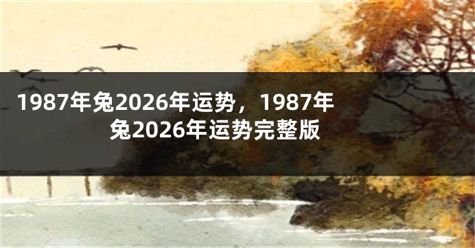 1987年兔2026年运势，1987年兔2026年运势完整版