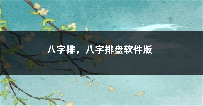 八字排，八字排盘软件版