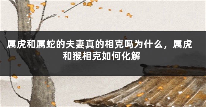 属虎和属蛇的夫妻真的相克吗为什么，属虎和猴相克如何化解