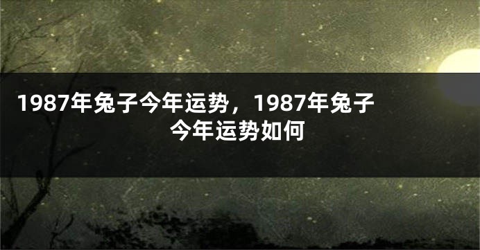 1987年兔子今年运势，1987年兔子今年运势如何