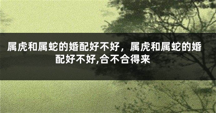 属虎和属蛇的婚配好不好，属虎和属蛇的婚配好不好,合不合得来