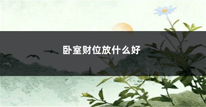 卧室财位放什么好