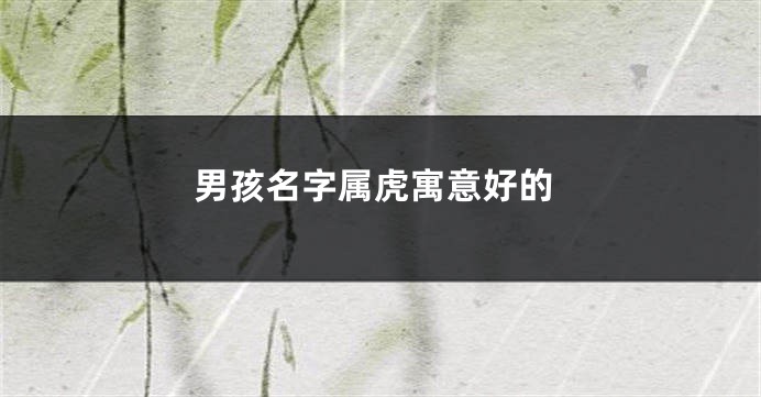 男孩名字属虎寓意好的