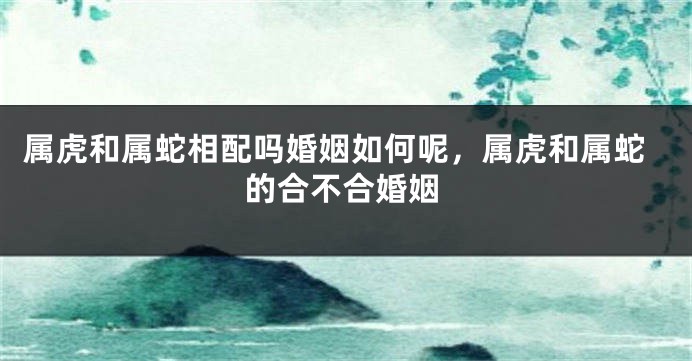 属虎和属蛇相配吗婚姻如何呢，属虎和属蛇的合不合婚姻
