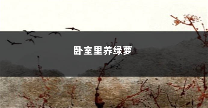 卧室里养绿萝