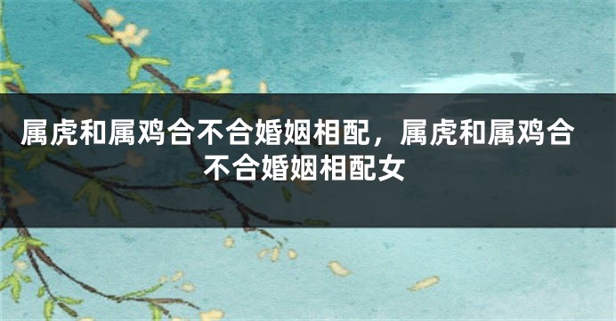 属虎和属鸡合不合婚姻相配，属虎和属鸡合不合婚姻相配女