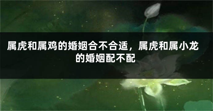 属虎和属鸡的婚姻合不合适，属虎和属小龙的婚姻配不配