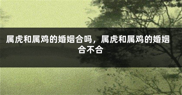 属虎和属鸡的婚姻合吗，属虎和属鸡的婚姻合不合