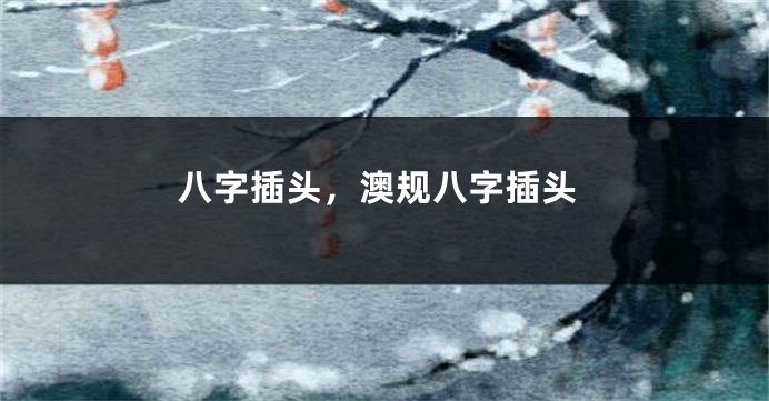 八字插头，澳规八字插头