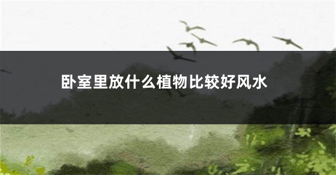 卧室里放什么植物比较好风水