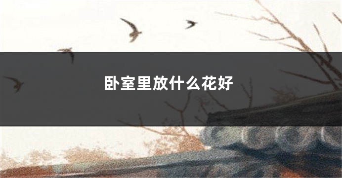 卧室里放什么花好