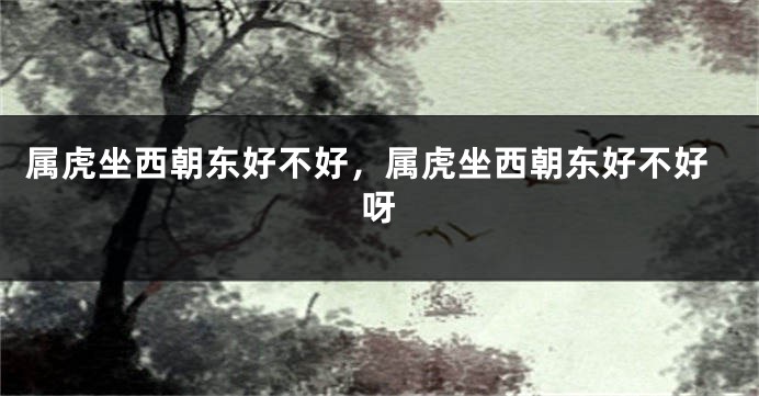 属虎坐西朝东好不好，属虎坐西朝东好不好呀