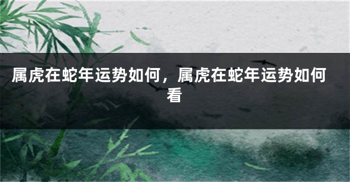 属虎在蛇年运势如何,属虎在蛇年运势如何看