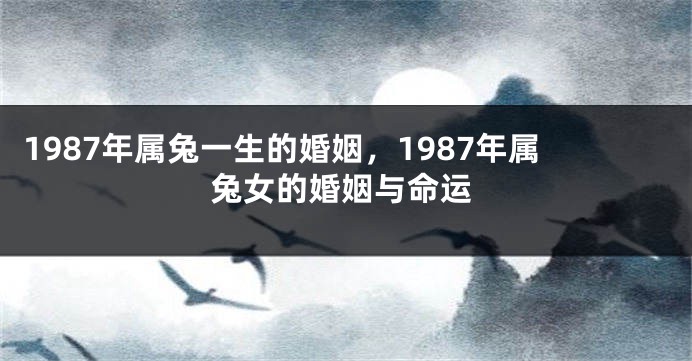 1987年属兔一生的婚姻，1987年属兔女的婚姻与命运